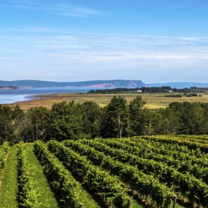 Nova Scotia vineyard tours
